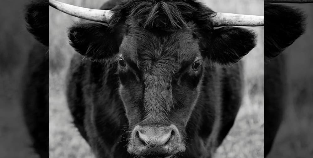 th4ts3cur1ty.company - Bullsh*t tactics of SIEM providers